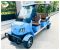 Гольфкар GreenCamel Сонора A42 New (4+2 2500W 225/40-10' литые)